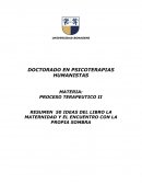 LA MATERNIDAD Y EL ENCUENTRO CON LA SOMBRA 50 IDEAS