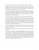 ¿Cuál es la Función de la ética ante el cuidado del medio ambiente?