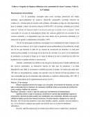 Talleres y brigadas de limpieza didáctica en la comunidad de Santa Catarina, Valle de la Trinidad