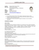 EXPERIENCIA LABORAL GRÚAS APSIDE