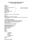 ESTRUCTURA DEL TRABAJO ESPECIAL DE GRADO: TECNICO SUPERIOR UNIVERSITARIO