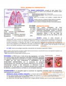 BRONQUITIS Y BRONQUIOLITIS