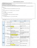 Negotiation Planning Model – Light Version