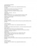 Actividades de español Programación
