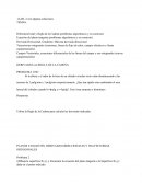 Diferencial total y Regla de la Cadena (problemas algorítmicos y en contexto)