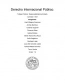 Trabajo Practico Derecho Internacional Publico