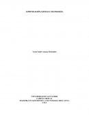 Comunicación, ciencia y tecnología