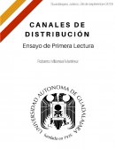 Ensayo de Distribución y Logistica
