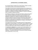 Pruebas largas atletismo