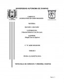 Aprender a Aprender. ¿Por qué aprender a aprender en la universidad?