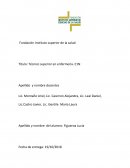 Proceso de atencion en enfermeria. PAE