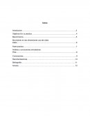 MOVIMIENTO EN DOS DIMENCIONES