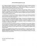 Informe Santillana Español 5to y 6to