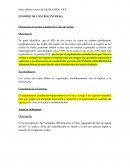 INFORME DE CONTROL INTERNO Diferencias en registro contable del Costo de Ventas