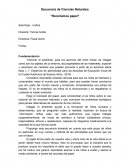Secuencia de Ciencias Naturales ”Reciclamos papel”
