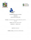 LA GESTIÓN ESCOLAR Y LAS RELACIONES DEL COLECTIVO ESCOLAR