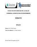 Informe de lectura. “Una diferencia entre ensayo y novela está en el lugar que ocupa el tema en uno y otra”