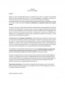 Gerencia Estratégica MARVEL