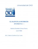 EL VALOR DE LA INFORMCIÓN INFORMÁTICA