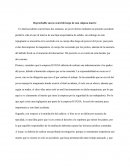 Análisis del accidente en la carretera