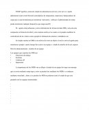 La importancia de los MIBS