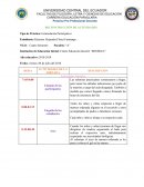 RECONSTRUCCIÓN DE ACTIVIDADES Tipo de Práctica: Estimulación Participativa
