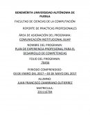 PLAN DE EXPERIENCIA PROFESIONAL PARA EL DESARROLLO DE COMPETENCIAS