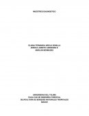 Informe muestro diagnostico