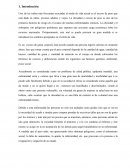 INTRODUCCIÓN exceso de peso