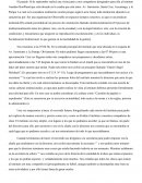 Informe Institucional Amadeo Bonpland