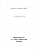 Protocolo de Revisiones Tecnicas