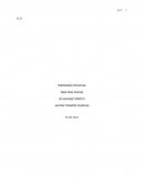 ¿Cuál es la importancia de las habilidades directivas en la organización?