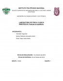 PRÁCTICA IV: Fuerzas en equilibrio