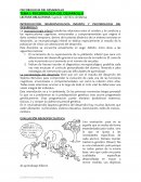 Psicobiología del desarrollo