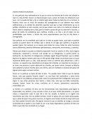 Ensayo Manos Milagrosas