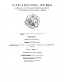 Sensor Temoresistivo