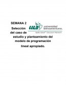 Selección del caso de estudio y planteamiento del modelo de programación