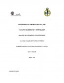 ANALISIS DEL DESARROLLO SUSTENTABLE