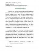 INVENTARIO DE ARBOLES FRUTALES