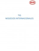 TIG NEGOCIOS INTERNACIONALES