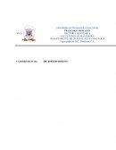 INFLUENCIA DIRECTIVA EN EL FUNCIONAMIENTO DEL CENTRO EDUCATIVO