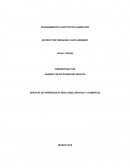 SERVICIO DE APRENDIZAJE SENA SEDE (SERVICIO Y COMERCIO)