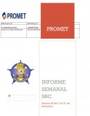 REPORTE SEMANAL EJECUTIVO PROYECTO QUELLAVECO