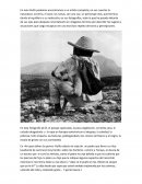 Juan Rulfo y las fotografías