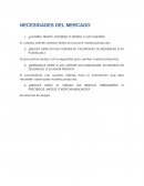 NECESIDADES DEL MERCADO