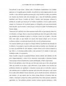 LA TUMBA DE LAS LUCIÉRNAGAS