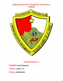 Lengua y literatura. PRODUCCIÓN N° 03