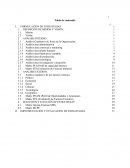 FORMULACIÓN DE ESTRATEGIAS Análisis Cualitativo de Áreas de la Organización