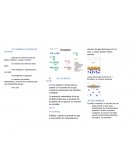 LEY GENERAL-ECUACION DE ESTADOS