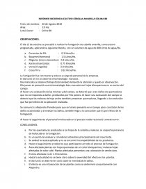 INCIDENCIAS EN CAMPO. Página 1